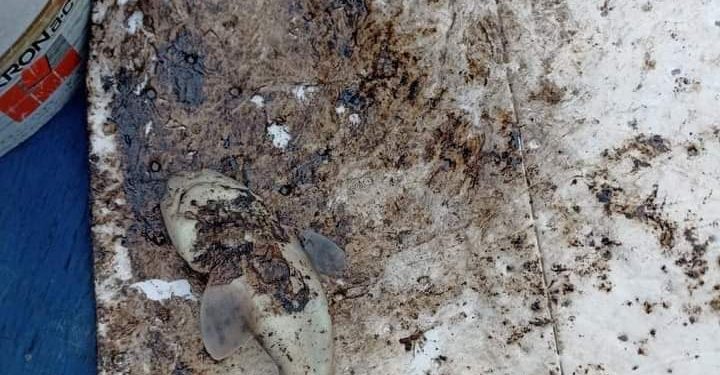 200 litros de combustible fueron derramados en la bahía de Quintero y Puchuncaví en última emergencia