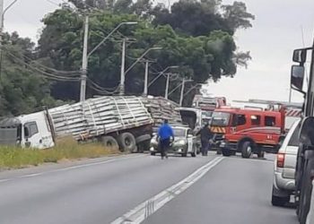 A nueve aumentaron los fallecidos tras choque entre camión y furgón en Peumo