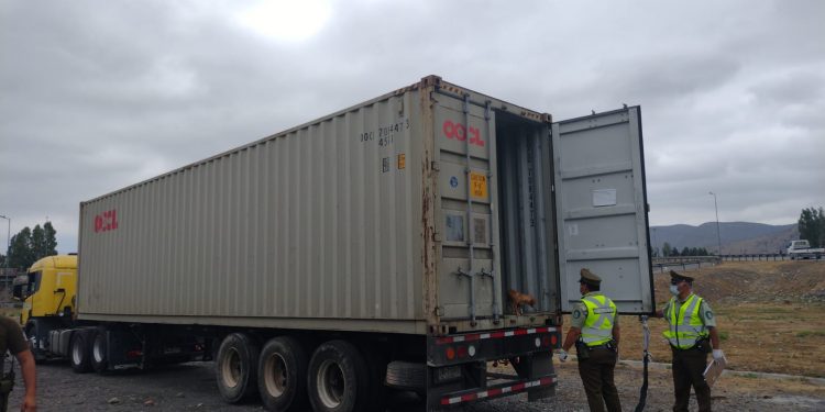Hallan a 10 inmigrantes ilegales en el interior de contenedor de carga en la Ruta 5 Norte