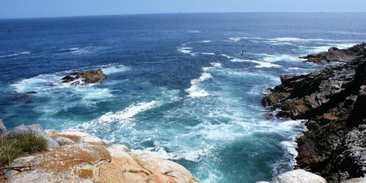 Opinión / El mar en la nueva Constitución