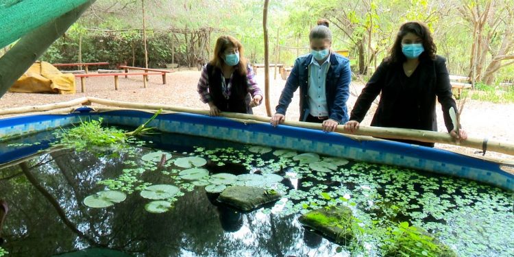 Villa Alemana: Municipalidad firma convenio para suministrar agua a Parque Ecoreserva