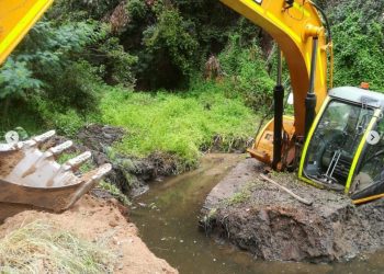 Alcaldesa Ripamonti acusa «intervención no coordinada» y DOH reconoce «falta de prolijidad» en obras que dejaron daños en humedal de la Quinta Vergara