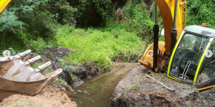 Alcaldesa Ripamonti acusa «intervención no coordinada» y DOH reconoce «falta de prolijidad» en obras que dejaron daños en humedal de la Quinta Vergara