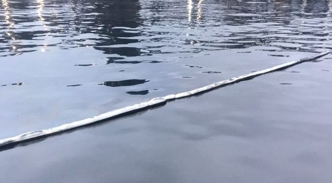 Tras nuevo derrame de combustible, Isabel Allende enfatiza: «Debemos terminar con las zonas de sacrificio”