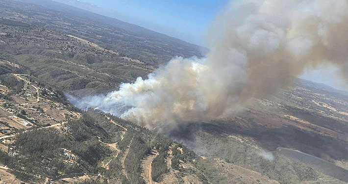 Algarrobo en Alerta Roja por incendio que ha consumido 100 hectáreas en Quebrada San Jerónimo