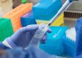 COVID-19: 5 fallecidos y 117 nuevos contagios se registraron en la Región de Valparaíso