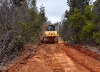 Incendios forestales: más de 370 kilómetros de cortafuegos se han ejecutado en sectores de riesgo