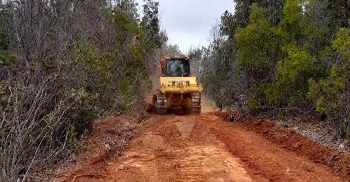Incendios forestales: más de 370 kilómetros de cortafuegos se han ejecutado en sectores de riesgo
