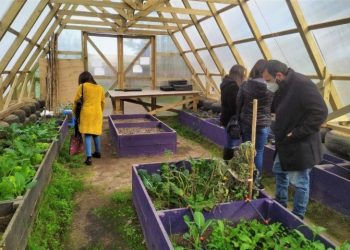 22 proyectos de la UPLA desarrollados el año pasado impactaron positivamente en más de 18 comunas de la región