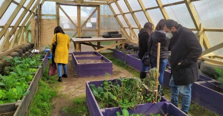 22 proyectos de la UPLA desarrollados el año pasado impactaron positivamente en más de 18 comunas de la región