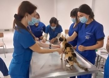 Hospital Veterinario de la Universidad Santo Tomás reabre sus puertas a la comunidad para atención de mascotas