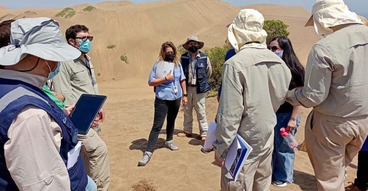 Tribunal Ambiental realiza inspección en dunas de Concón por reclamación contra permisos de proyecto inmobiliario de Reconsa