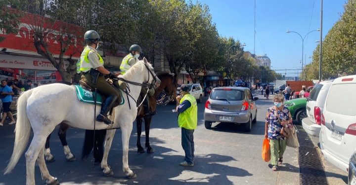 En solo tres horas 10 prófugos de la justicia fueron detenidos en el plan de Valparaíso