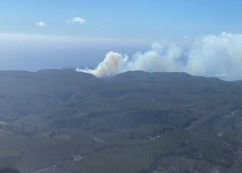 Declaran Alerta Amarilla en comuna de Casablanca por incendio en Quintay