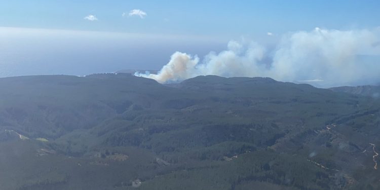 Declaran Alerta Amarilla en comuna de Casablanca por incendio en Quintay