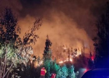 Valparaíso con Alerta Roja por incendio forestal en la Reserva Lago Peñuelas