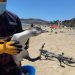 Rescatan a pingüino desorientado en playa El Abanico de Maitencillo