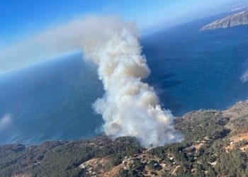Detienen a presunto autor de incendio que afecta a Laguna Verde y que tiene con Alerta Roja a Valparaíso