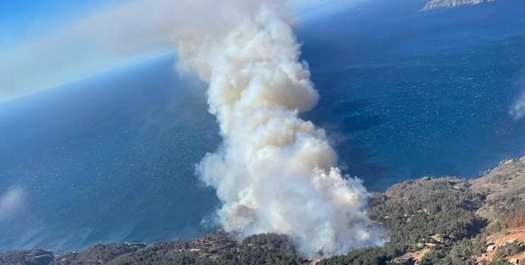 Detienen a presunto autor de incendio que afecta a Laguna Verde y que tiene con Alerta Roja a Valparaíso