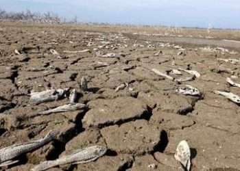 Fenómenos meteorológicos extremos y enfermedades infecciosas, entre los riesgos a los que se enfrenta el planeta