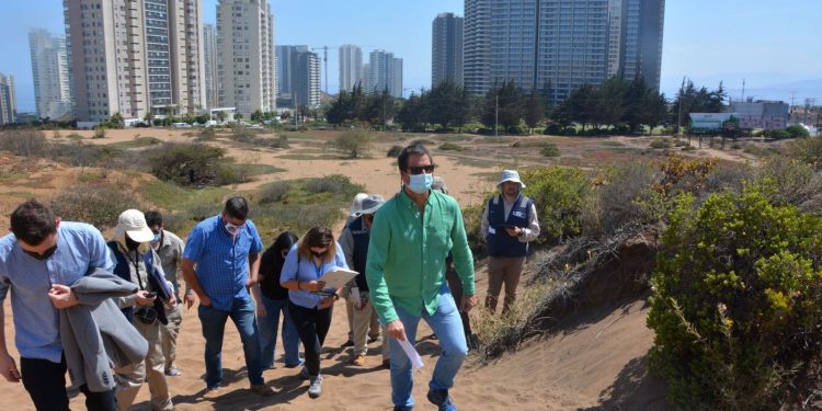 Dunas de Concón: Tribunal Ambiental busca confirmar si Superintendencia «obró adecuadamente» por programa de cumplimiento de Reconsa y sentencia estaría en el primer semestre