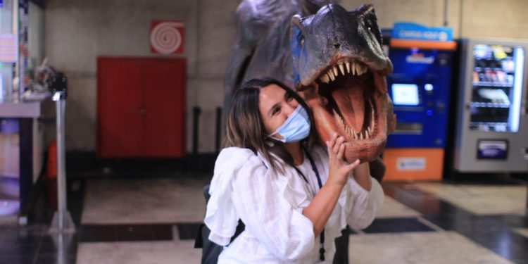 Dinosaurio sorprende a pasajeros del tren Limache-Puerto