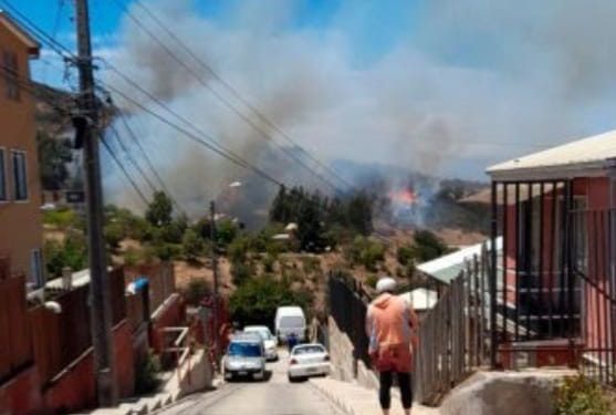 Viña del Mar en Alerta Roja por incendio forestal que amenaza a viviendas