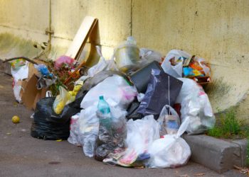 Valparaíso: app busca combatir el problema de la basura en cerros de la comuna