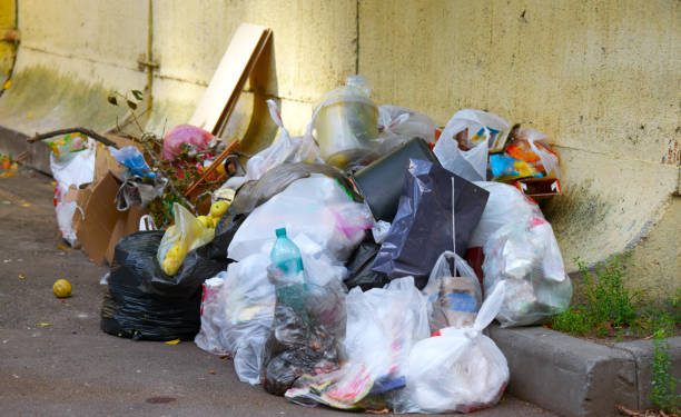 Valparaíso: app busca combatir el problema de la basura en cerros de la comuna