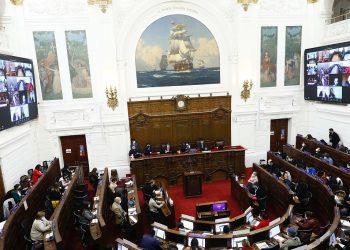 Estos son los hitos que marcaron la semana de la Convención Constitucional