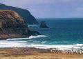 Piden abandonar zona de playa de Isla de Pascua por tsunami menor