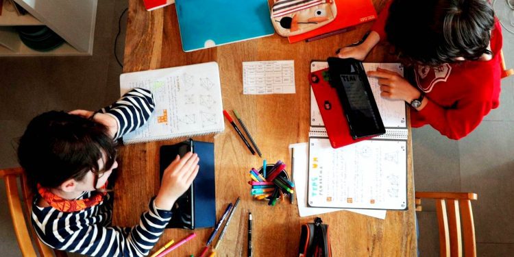 Columna de opinión / Día Internacional de la Educación