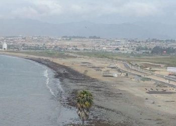 Experto explica que corrientes generadas por tsunami pueden ser peligrosas en puertos y lugares de topografía compleja