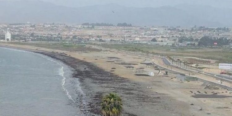 Experto explica que corrientes generadas por tsunami pueden ser peligrosas en puertos y lugares de topografía compleja