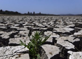 ONU alerta sobre efectos de la mega sequía en Valparaíso y Coquimbo