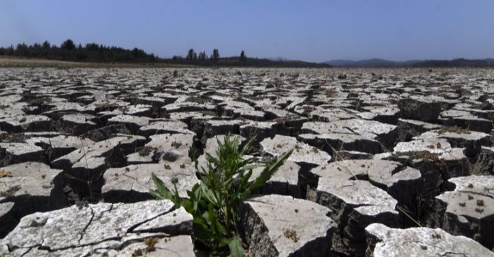 ONU alerta sobre efectos de la mega sequía en Valparaíso y Coquimbo