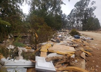 La denuncia de Hoy / Vecinos acusan presencia de microbasurales en áreas cercanas a la Plaza de la Familia, en Viña del Mar