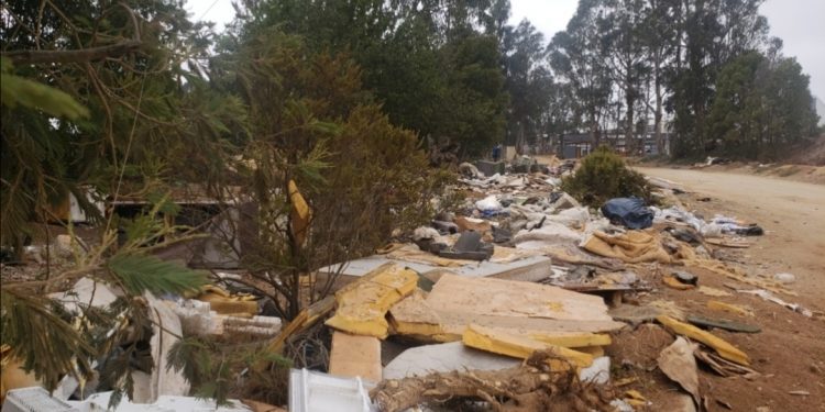 La denuncia de Hoy / Vecinos acusan presencia de microbasurales en áreas cercanas a la Plaza de la Familia, en Viña del Mar