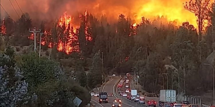 Valparaíso en Alerta Roja por incendio forestal en camino La Pólvora con Ruta 68