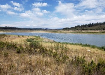 Dramática crisis hídrica: lago Peñuelas solo alcanza un 0,2% de acumulación de agua