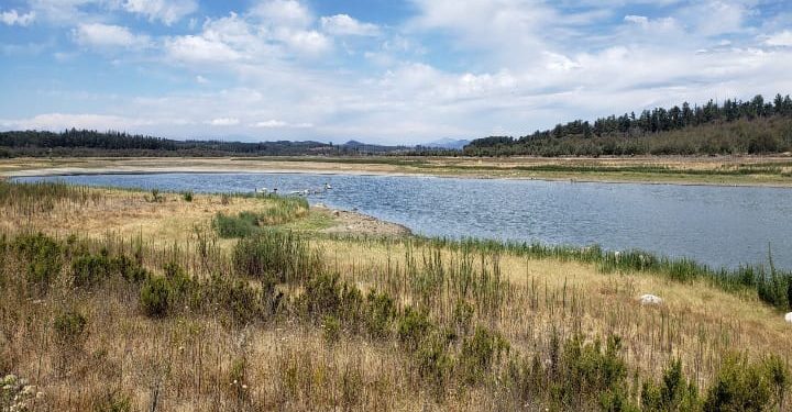 Dramática crisis hídrica: lago Peñuelas solo alcanza un 0,2% de acumulación de agua