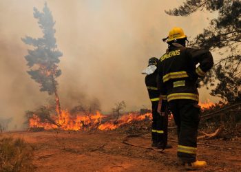 Columna de opinión / Incendios y la ausencia de cultura