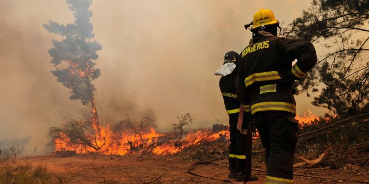 Columna de opinión / Incendios y la ausencia de cultura