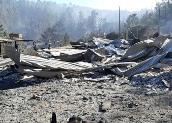 Senadora Allende enfatiza que la gestión en materia de emergencias en la región «debe centrarse en la prevención de incendios”