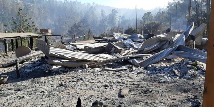 Senadora Allende enfatiza que la gestión en materia de emergencias en la región «debe centrarse en la prevención de incendios”