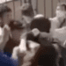 Nueva pelea entre estudiantes: en Viña del Mar alumno fue golpeado en el estacionamiento del colegio Casteliano