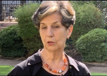 Senadora Allende califica como un «retroceso ambiental» aprobación de Termoléctrica Los Rulos