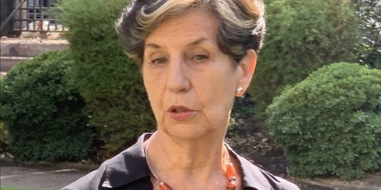 Senadora Allende califica como un «retroceso ambiental» aprobación de Termoléctrica Los Rulos