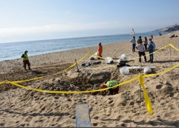 Emergencia ambiental en playa de Viña del Mar: inmobiliaria apunta a Esval y sanitaria niega propiedad de ducto en Las Salinas