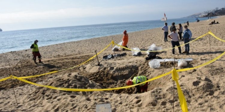 Emergencia ambiental en playa de Viña del Mar: inmobiliaria apunta a Esval y sanitaria niega propiedad de ducto en Las Salinas